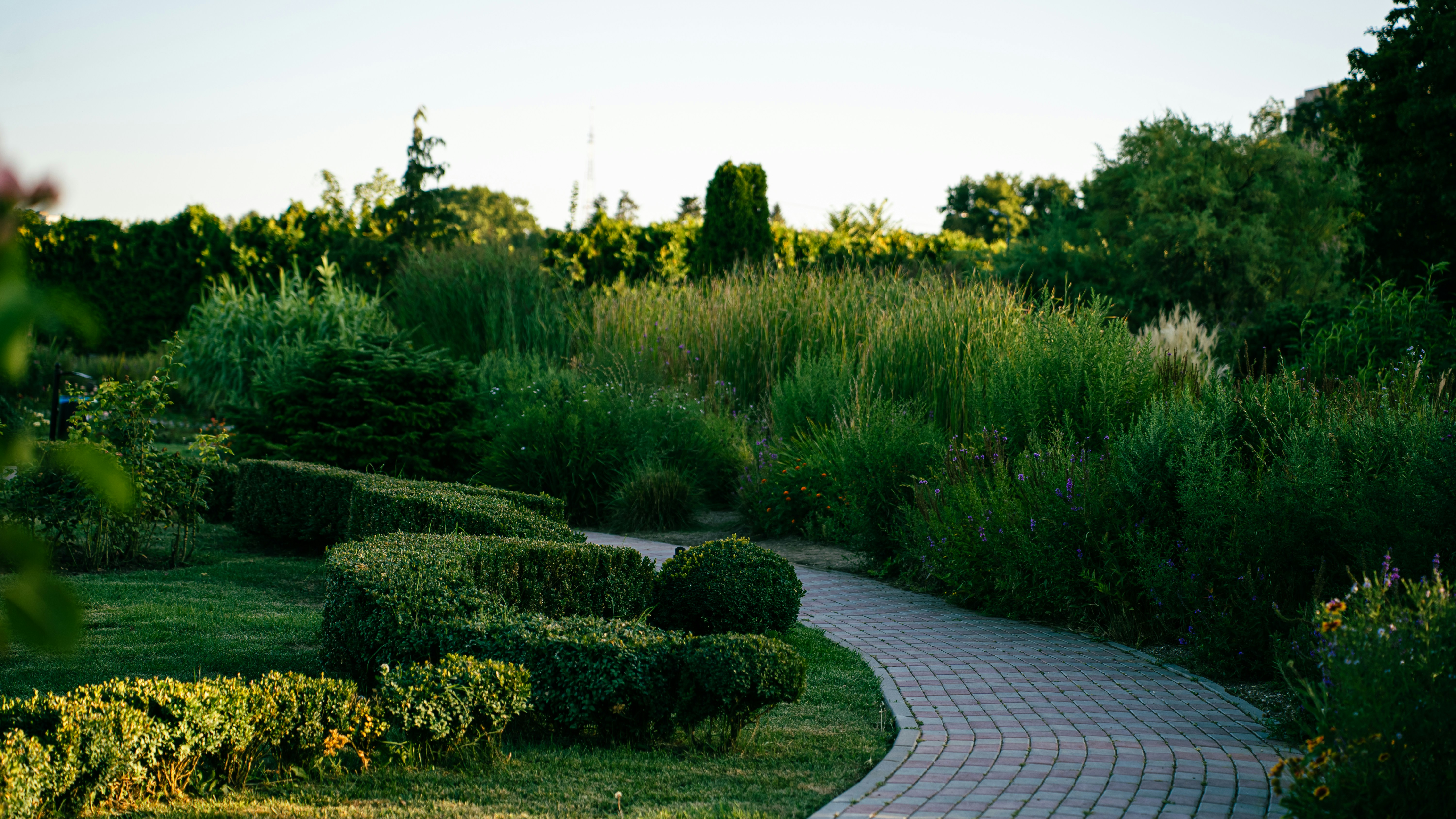 Contact Bakunor Landscape Design Sydney