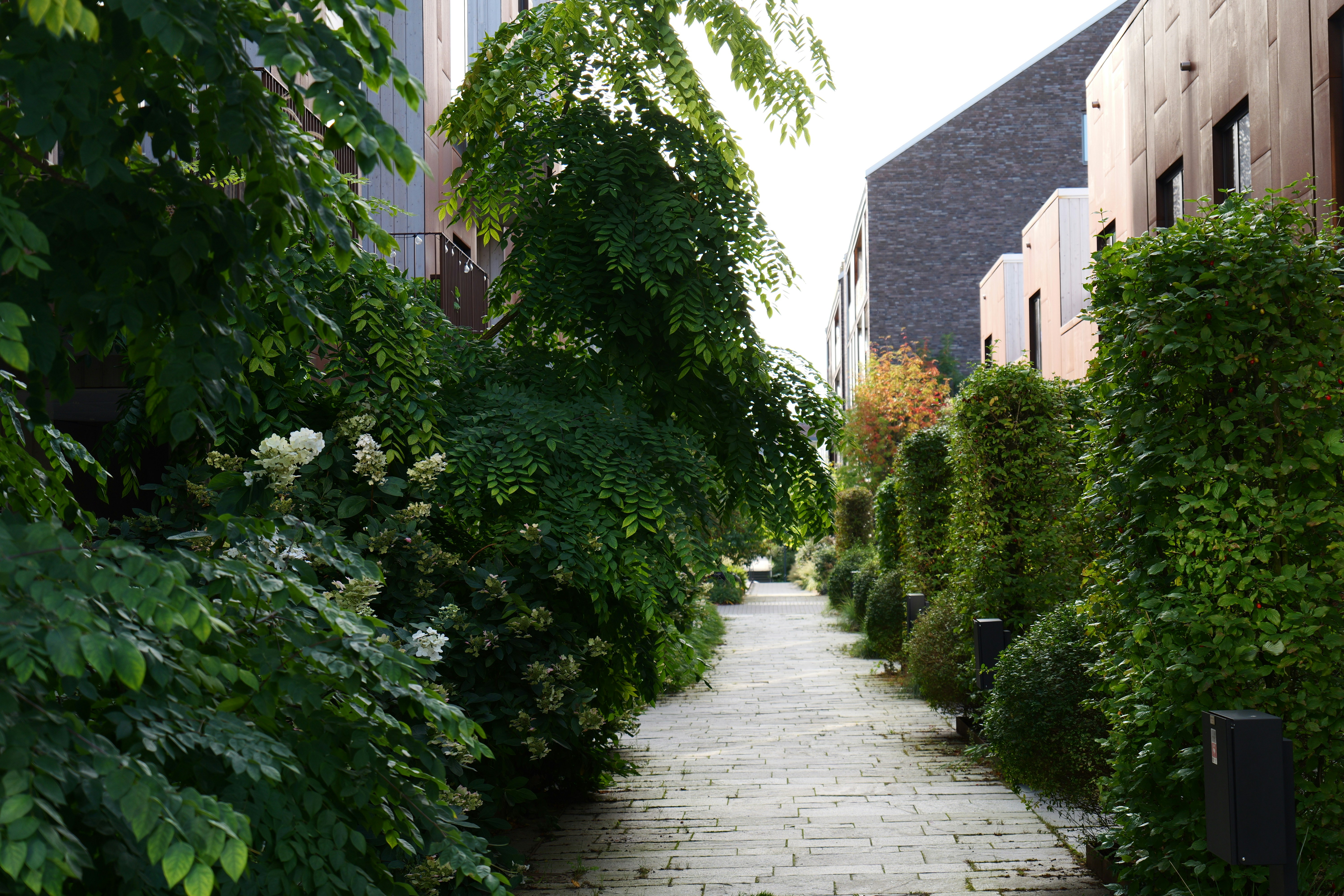 Professional landscape services by Bakunor Sydney
