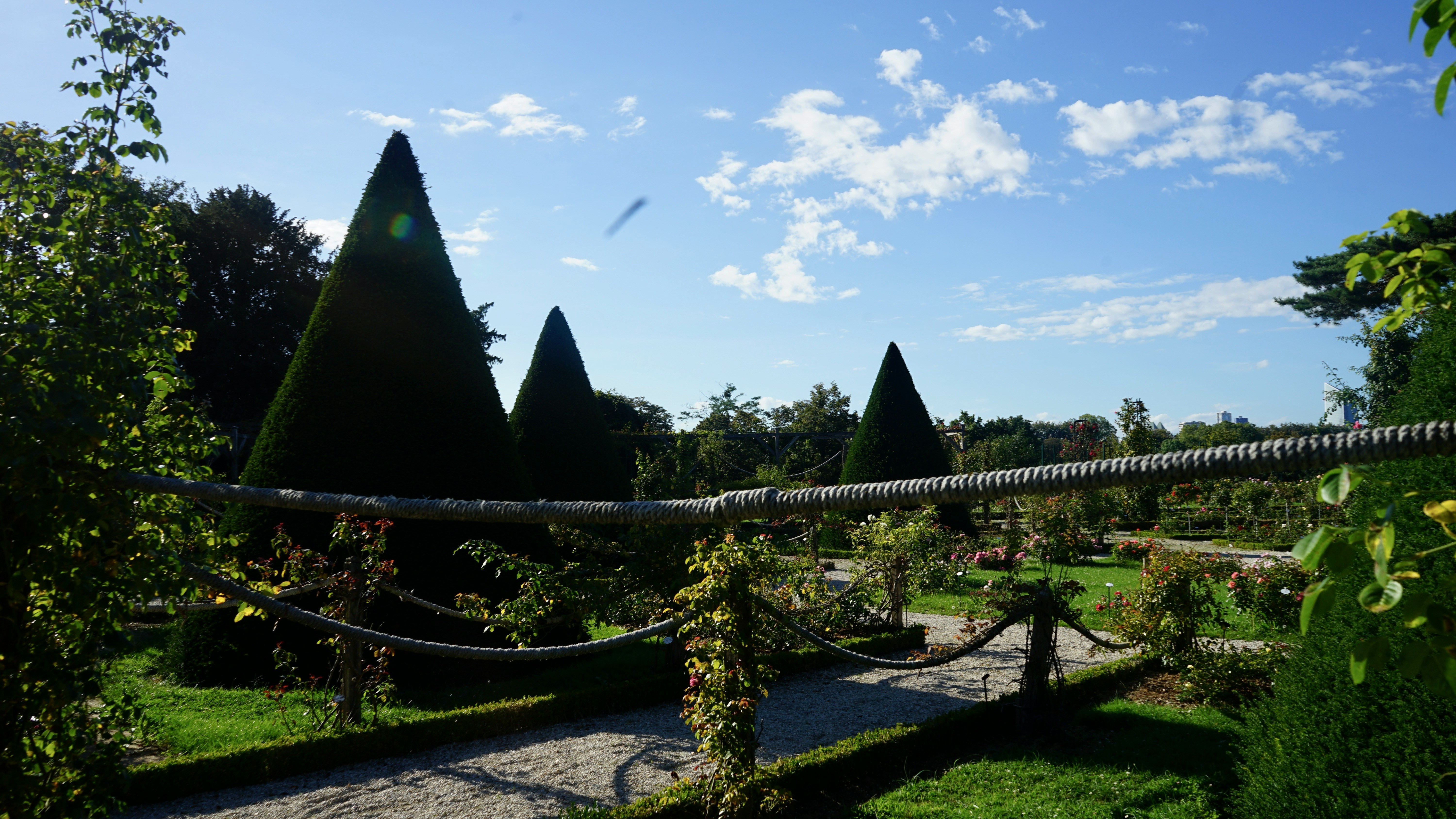 Lawn and turf installation service