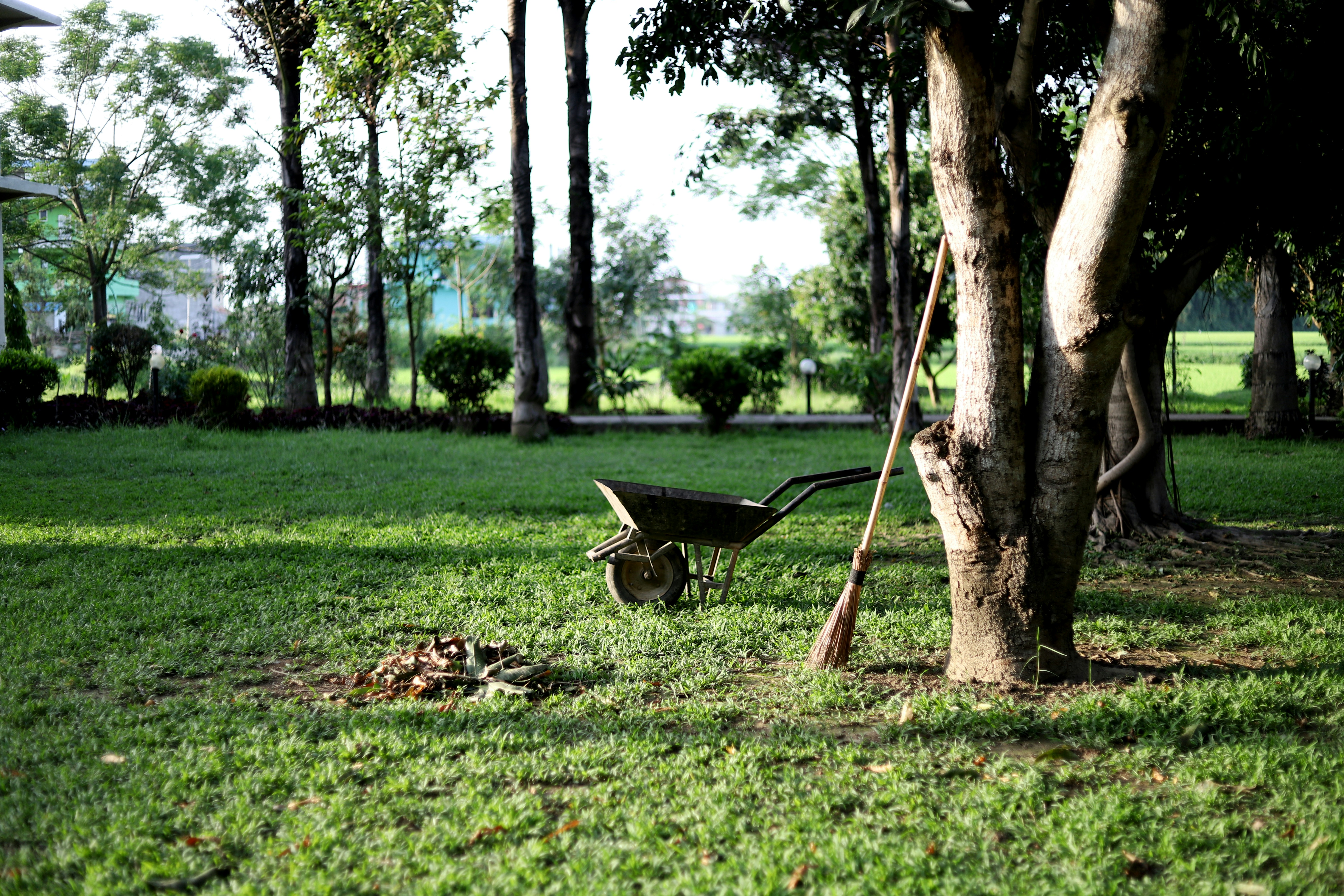 Garden maintenance service